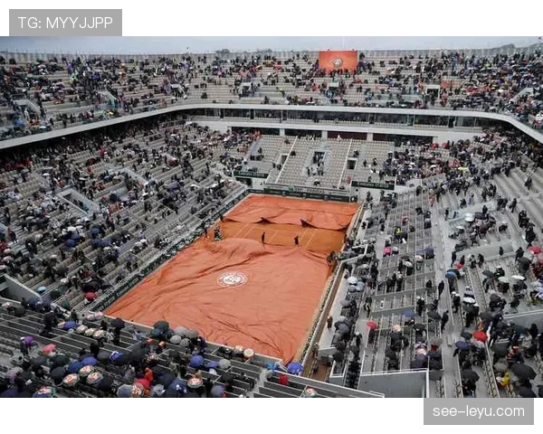 场地外物入场为何可能导致比赛判罚和中断？