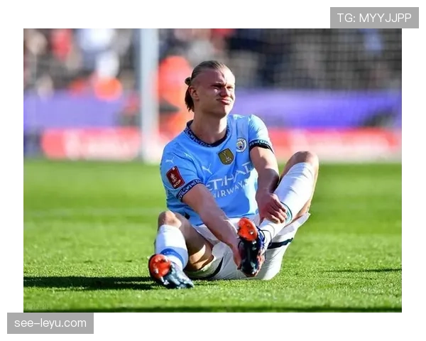 哈兰德高位逼抢如何重塑后防压迫体系，射门效率为何领跑同期锋线？