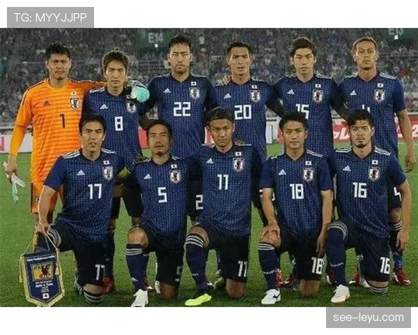 日本世界杯数据统计分析